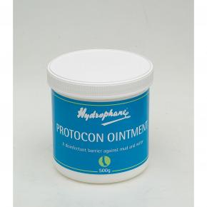 Hydrophane Protocon