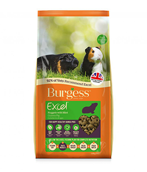 Burgess Excel Adult Guinea Pig Nuggets with Mint