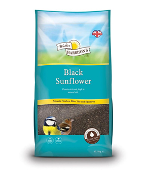 Harrisons Black Sunflower