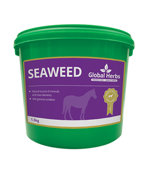 Global Herbs Seaweed
