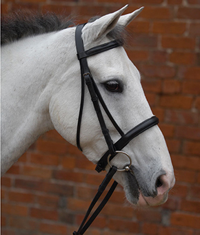 Hy Padded Cavesson Bridle with Rubber Reins