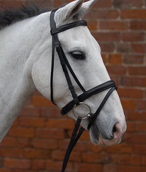 Hy Padded Flash Bridle with Rubber Reins