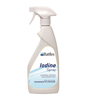 Battles Strong Iodine 10% Spray