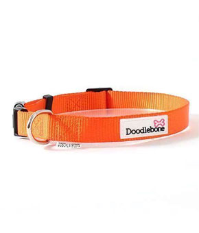 Doodblebone Bold Range Collar - Orange