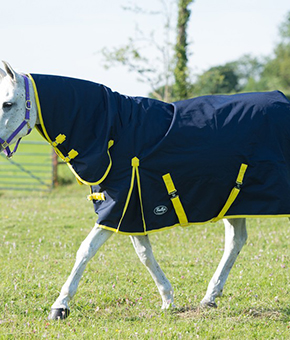 Gallop Trojan Combo 200g Turnout Rug