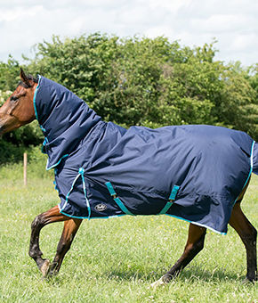 Gallop Trojan Combo 350g Turnout Rug
