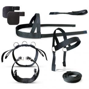 Crafty Ponies Driving Harness Set