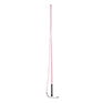 Roma Brights Lunge Whip 160cm - Pink