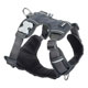Red Dingo Padded Harness For Dogs - Grey
