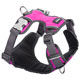 Red Dingo Padded Harness For Dogs - Hot Pink