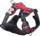 Red Dingo Padded Harness For Dogs - Red
