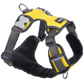 Red Dingo Yellow Padded Harness For Dogs - Yellow
