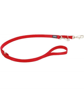 RED DINGO TRAINING DOG LEAD RED