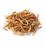 Brinvale Dried Mealworms for Birds