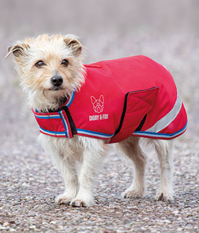 Digby & Fox Waterproof Dog Coat - Red