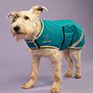 Digby & Fox Waterproof Dog Coat - Teal