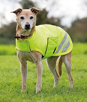 Shires EQUI-FLECTOR Dog Coat - Yellow