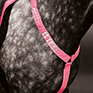 Shires EQUI-FLECTOR Breastplate - Pink