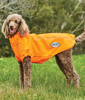 Weatherbeeta ComFiTec Active Dog Coat Orange