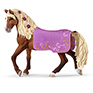 Paso Fino Stallion Horse Show  42468