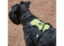 Weatherbeeta Anti Pull/Travel Harness Black/Yellow