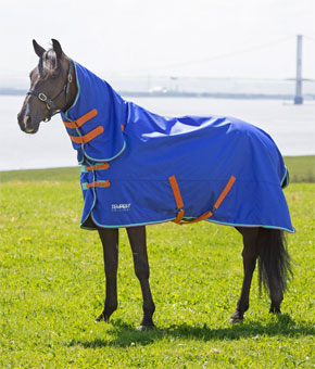 Shires Tempest Original 50g Combo - Royal Blue