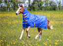 Shires Tempest Original 50g Combo - Royal Blue