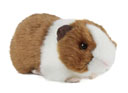 Living Nature Brown Guinea Pig with Sound
