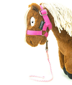 Crafty Ponies Lead Rope Pink