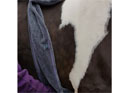 Henry Wag Equine Microfibre Glove Towel