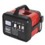 Battery Charger 19Amp 12V/24V 230V