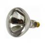 Stockshop Clear Infrared Bulb