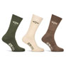 Hoggs of Fife Field Pro Country Sock 3 pack - Olive/Brown