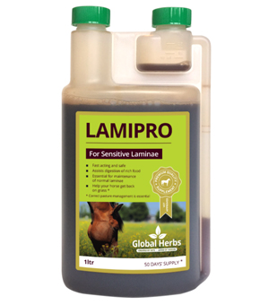 Global Herbs Laminitis Prone Supplement