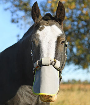 Equilibrium Field Relief Muzzle Protector