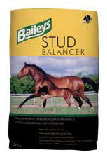 Baileys Stud Balancer