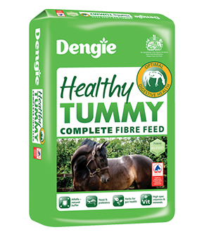 Dengie Healthy Tummy