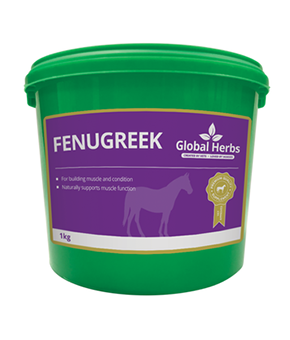 Global Herbs Fenugreek