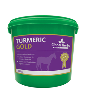 Global Herbs Turmeric