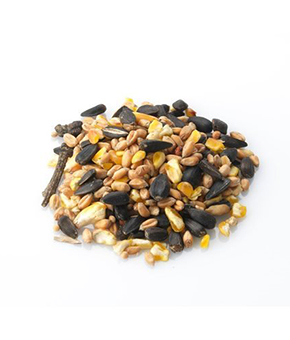 Brinvale Standard Wild Bird Food