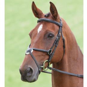 Shires Salisbury Brackley Bridle