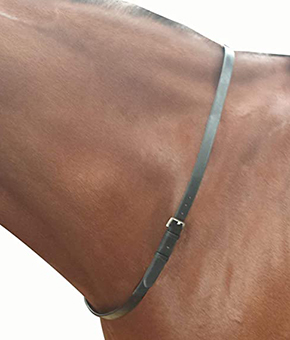 Kincade Neck Strap