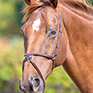 Shires Blenheim Mexican Noseband