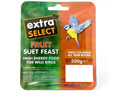 Extra Select Suet Block - Fruit