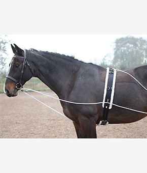 Shires Lunging Aid