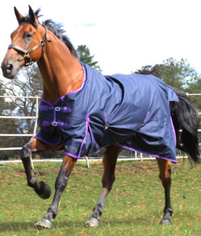 Gallop Trojan Standard Neck Lite Turnout