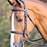 Sailsbury Fairford bridle