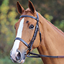 Shires Aviemore Plain Bridle