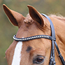 Shires Aviemore Large Diamante Browband