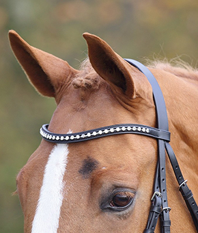 Shires Aviemore Large Diamante Browband